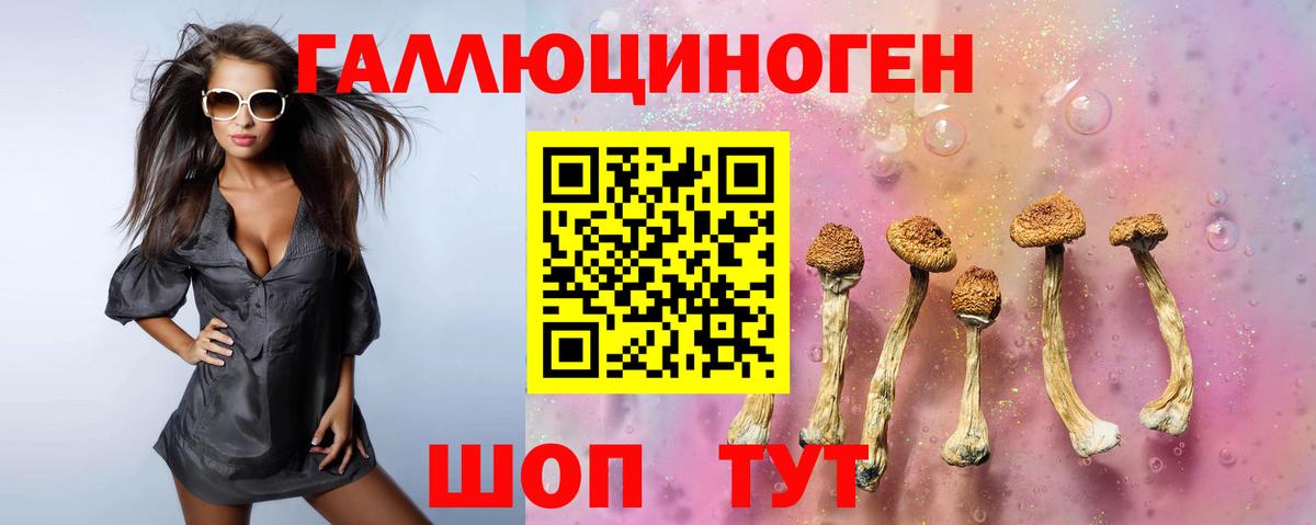 Галлюциногенные грибы GOLDEN TEACHER  Вход с VPN  Канаш 